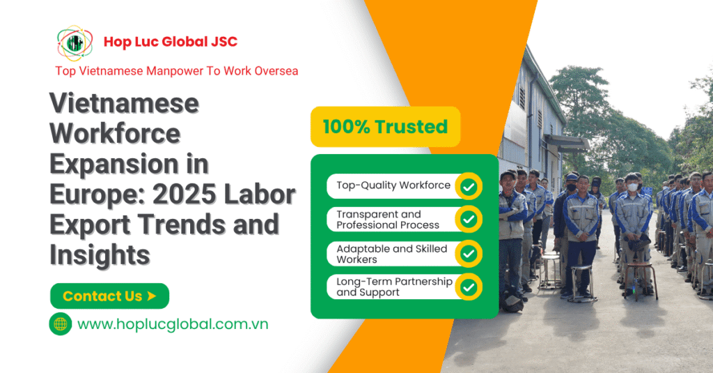 Vietnamese workforce supply to Europe – trained workers ready for EU deployment