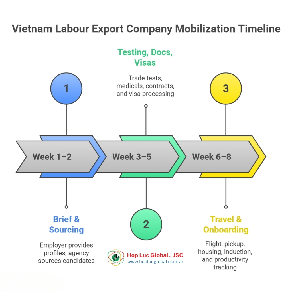 deployment timeline from a vietnam labour export company for EU projects