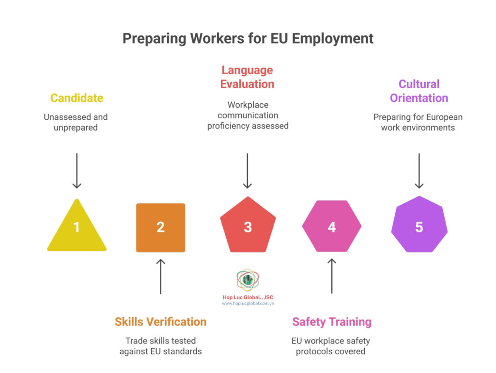 Training pathway to apply for Europe labor export