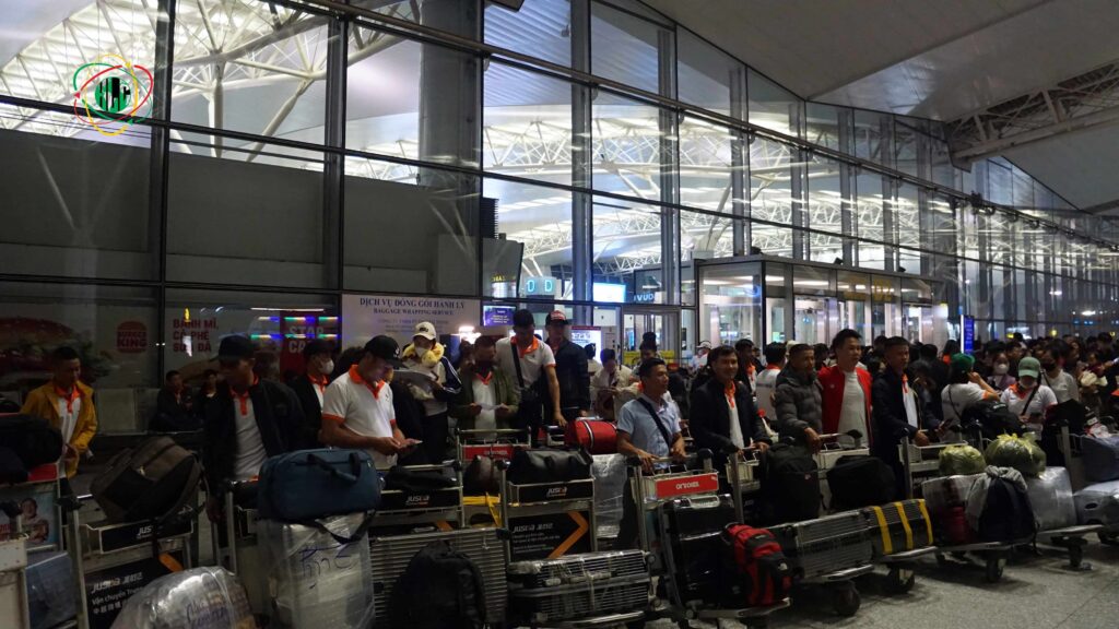 Europe job demand for Vietnam skilled workers across key technical and industrial sectors
