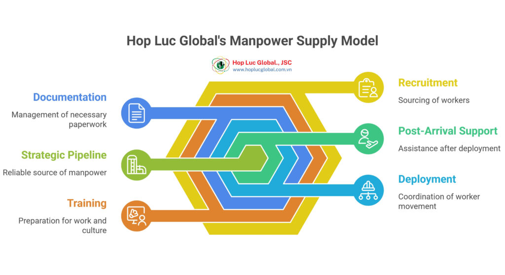Hop Luc Global supports general manpower supply from Vietnam with integration support