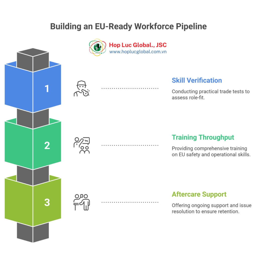 EU-Ready Workforce Pipeline from Vietnam