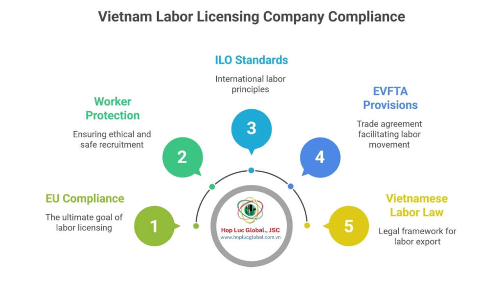 Vietnam labor licensing company aligned with EU standards