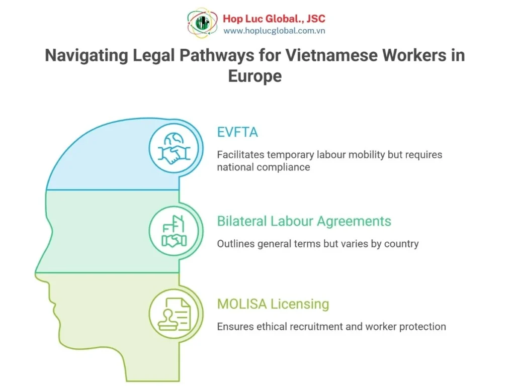 Infographic showing the legal pathway from Vietnam to EU countries under EVFTA and bilateral agreements