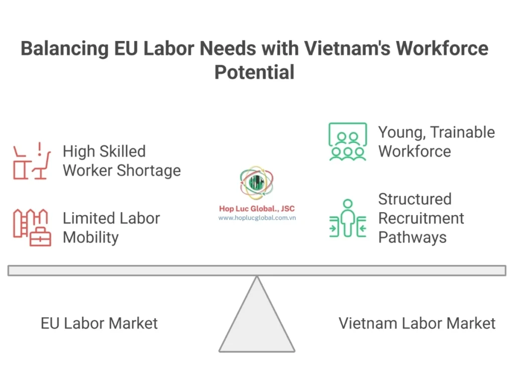 Infographic comparing EU skilled labor shortages and Vietnamese technical labor export supply sectors