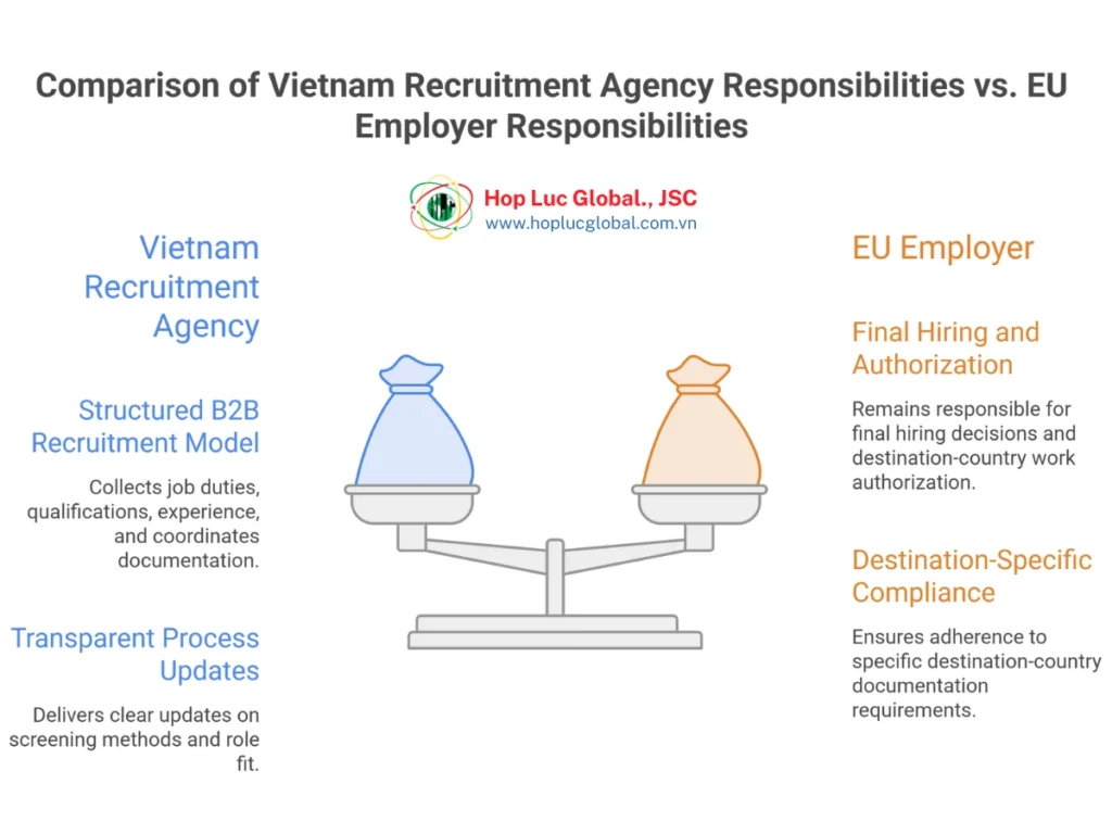 Vietnam recruitment agency process for EU employers reviewing candidate profiles