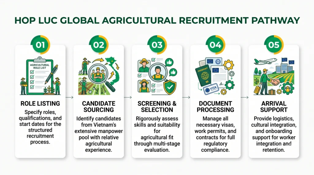 Vietnam staffing solutions for employers agricultural recruitment process with Hop Luc Global