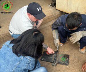 Lithuanian Shipbuilding recruitment in HopLuc Global JSC