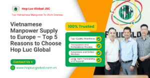Top 5 reasons to choose Hop Luc Global for supplying Vietnamese manpower to Europe