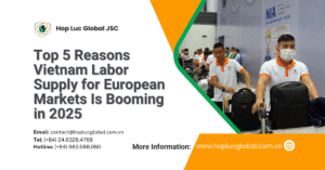 Vietnam labor supply for European markets – Hop Luc Global JSC