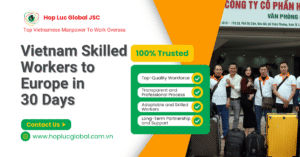 Certified Vietnamese skilled workers ready for Europe deployment in 30 days