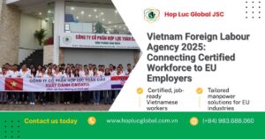 Vietnam foreign labour agency with MOLISA license connecting EU employers