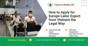 Apply for Europe labor export legally from Vietnam
