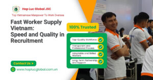 Fast worker supply Vietnam for EU recruitment and deployment