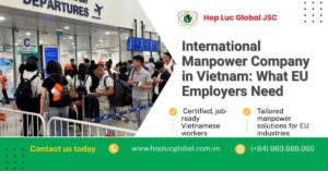 international manpower company in Vietnam supporting EU workforce