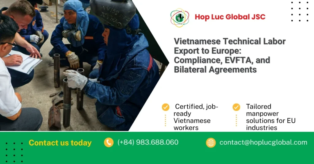 Infographic comparing EU skilled labor shortages and Vietnamese technical labor export supply sectors