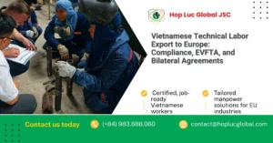 Infographic comparing EU skilled labor shortages and Vietnamese technical labor export supply sectors
