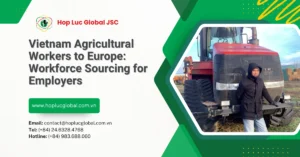 Overview of vietnam agricultural workers to Europe recruitment process for EU employers