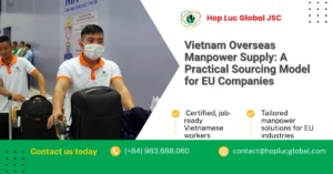 Vietnam overseas manpower supply sourcing model diagram for EU employers showing role definition, screening, and documentation workstreams