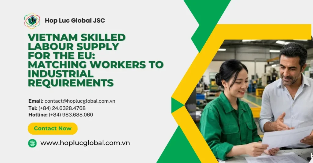 Vietnam skilled labour supply for EU planning session with employers reviewing role requirements